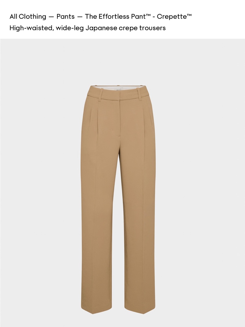 Aritzia Wide-Leg High-Waist Trousers — Camel/Tan